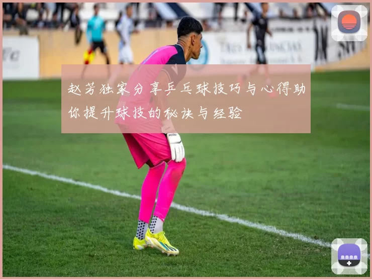 赵芳独家分享乒乓球技巧与心得助你提升球技的秘诀与经验