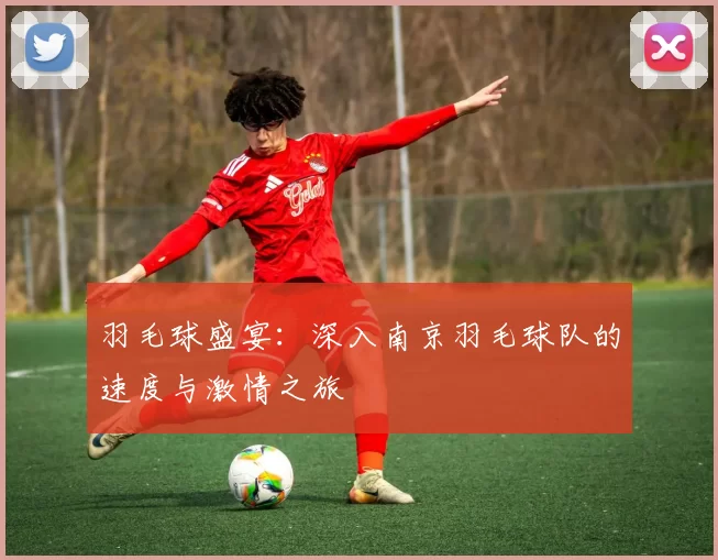 羽毛球盛宴：深入南京羽毛球队的速度与激情之旅
