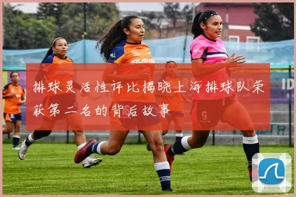 排球灵活性评比揭晓上海排球队荣获第二名的背后故事