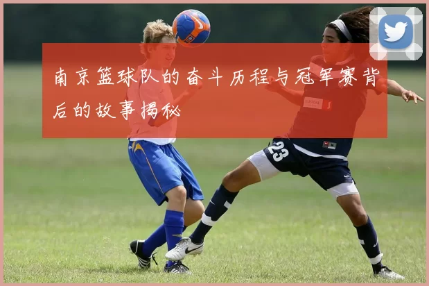 南京篮球队的奋斗历程与冠军赛背后的故事揭秘