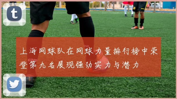 上海网球队在网球力量排行榜中荣登第九名展现强劲实力与潜力