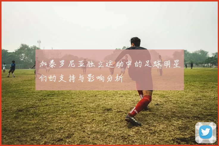 加泰罗尼亚独立运动中的足球明星们的支持与影响分析