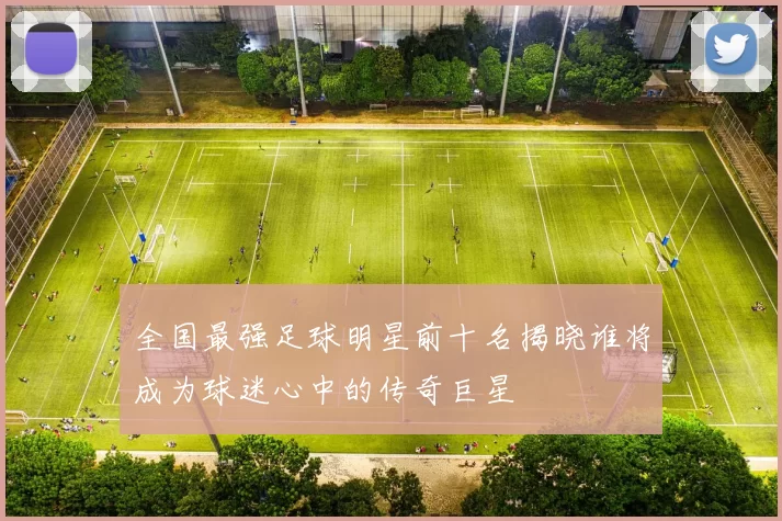 全国最强足球明星前十名揭晓谁将成为球迷心中的传奇巨星