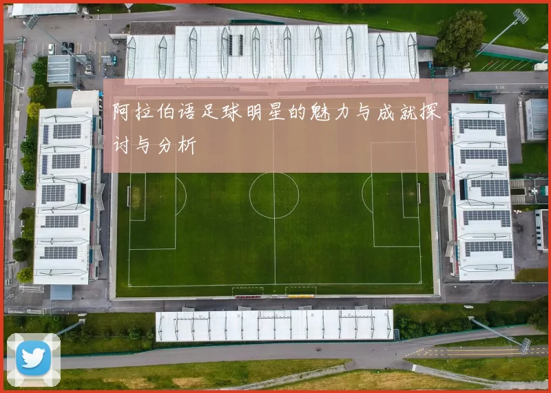 阿拉伯语足球明星的魅力与成就探讨与分析