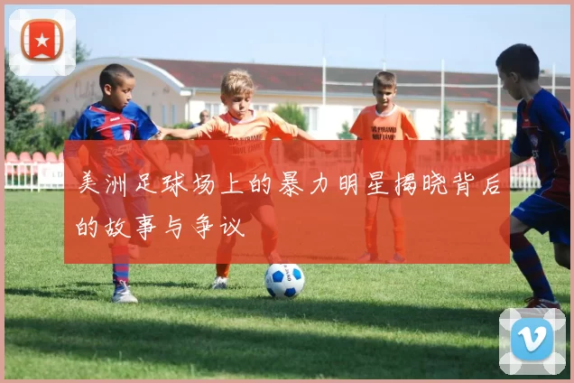 美洲足球场上的暴力明星揭晓背后的故事与争议
