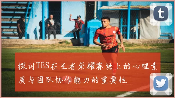 探讨TES在王者荣耀赛场上的心理素质与团队协作能力的重要性