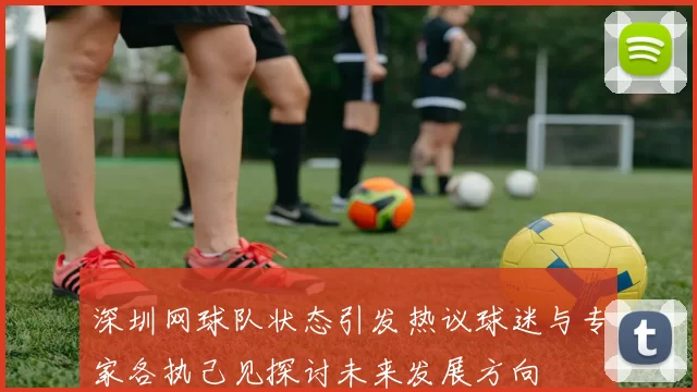 深圳网球队状态引发热议球迷与专家各执己见探讨未来发展方向