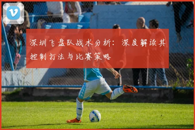 深圳飞盘队战术分析：深度解读其控制打法与比赛策略