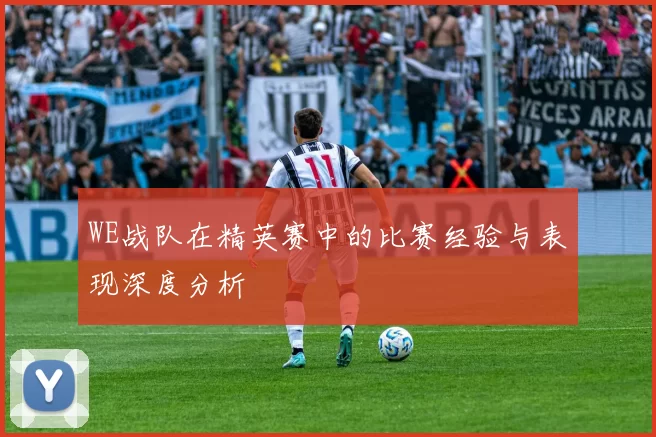WE战队在精英赛中的比赛经验与表现深度分析