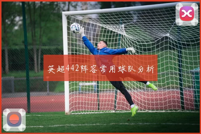 英超442阵容常用球队分析