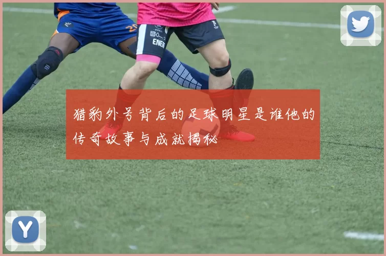猎豹外号背后的足球明星是谁他的传奇故事与成就揭秘