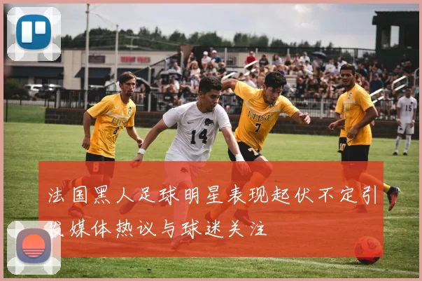 法国黑人足球明星表现起伏不定引发媒体热议与球迷关注