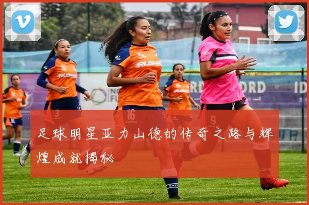 足球明星亚力山德的传奇之路与辉煌成就揭秘
