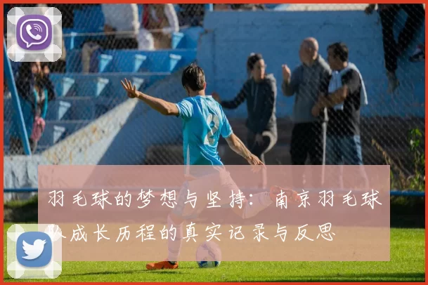 羽毛球的梦想与坚持：南京羽毛球队成长历程的真实记录与反思