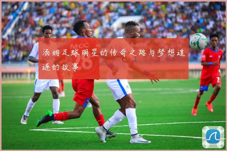 汤姆足球明星的传奇之路与梦想追逐的故事