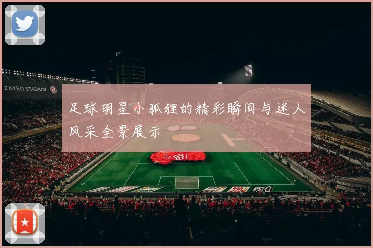 足球明星小狐狸的精彩瞬间与迷人风采全景展示