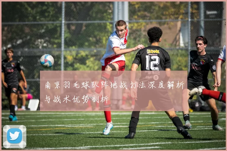 南京羽毛球队阵地战打法深度解析与战术优势剖析
