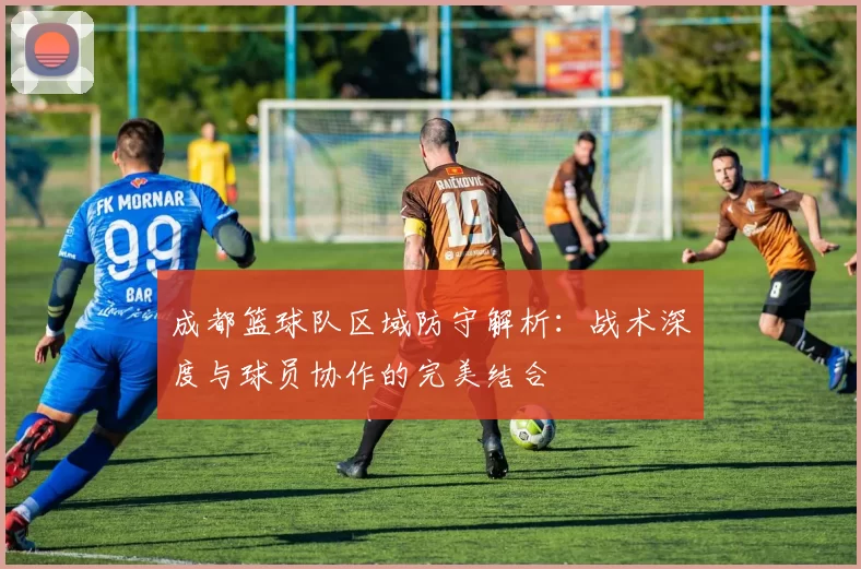 成都篮球队区域防守解析：战术深度与球员协作的完美结合