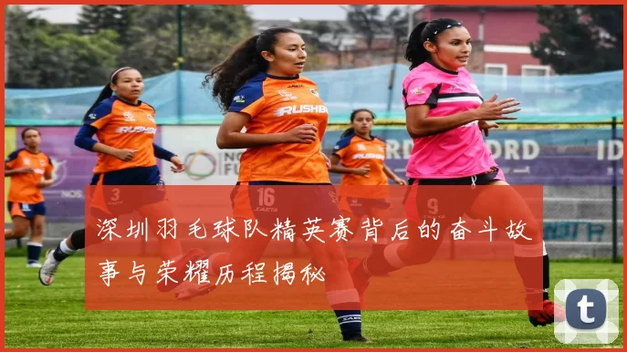 深圳羽毛球队精英赛背后的奋斗故事与荣耀历程揭秘
