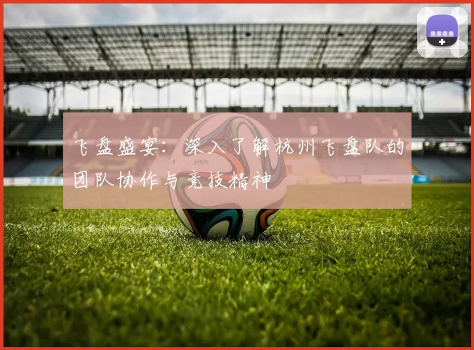 飞盘盛宴：深入了解杭州飞盘队的团队协作与竞技精神