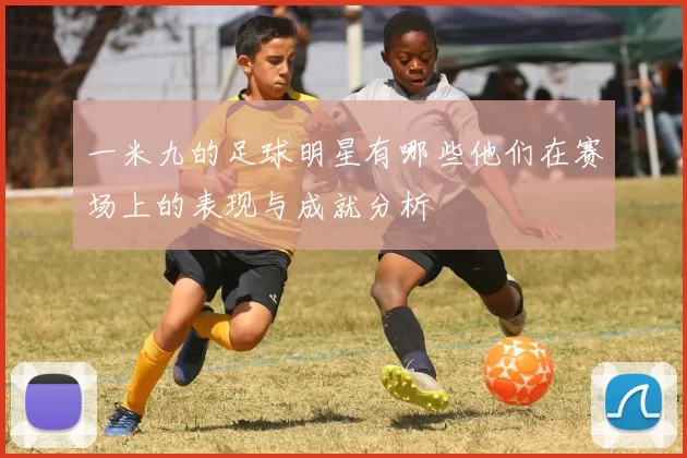 一米九的足球明星有哪些他们在赛场上的表现与成就分析