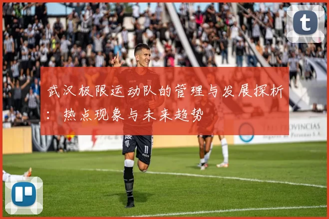 武汉极限运动队的管理与发展探析：热点现象与未来趋势