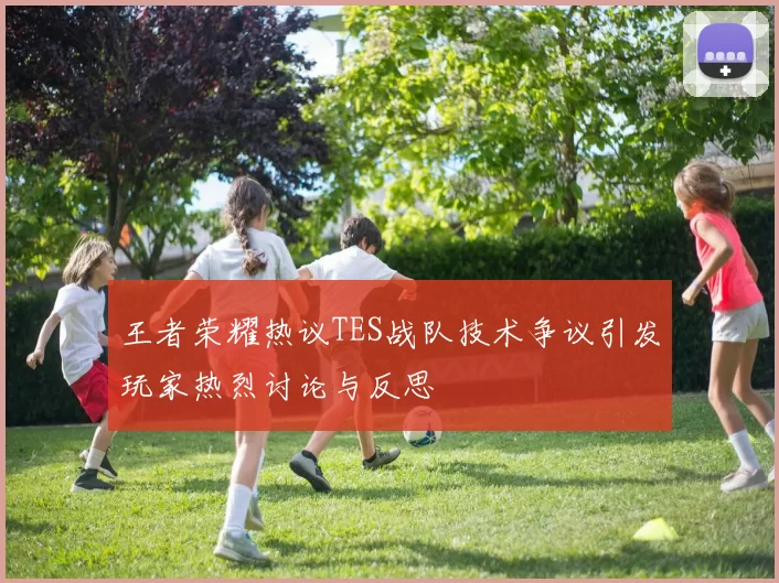 王者荣耀热议TES战队技术争议引发玩家热烈讨论与反思