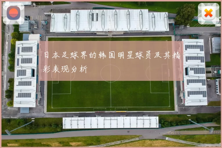 日本足球界的韩国明星球员及其精彩表现分析